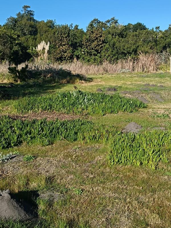 0 Bedroom Property for Sale in Albertinia Western Cape